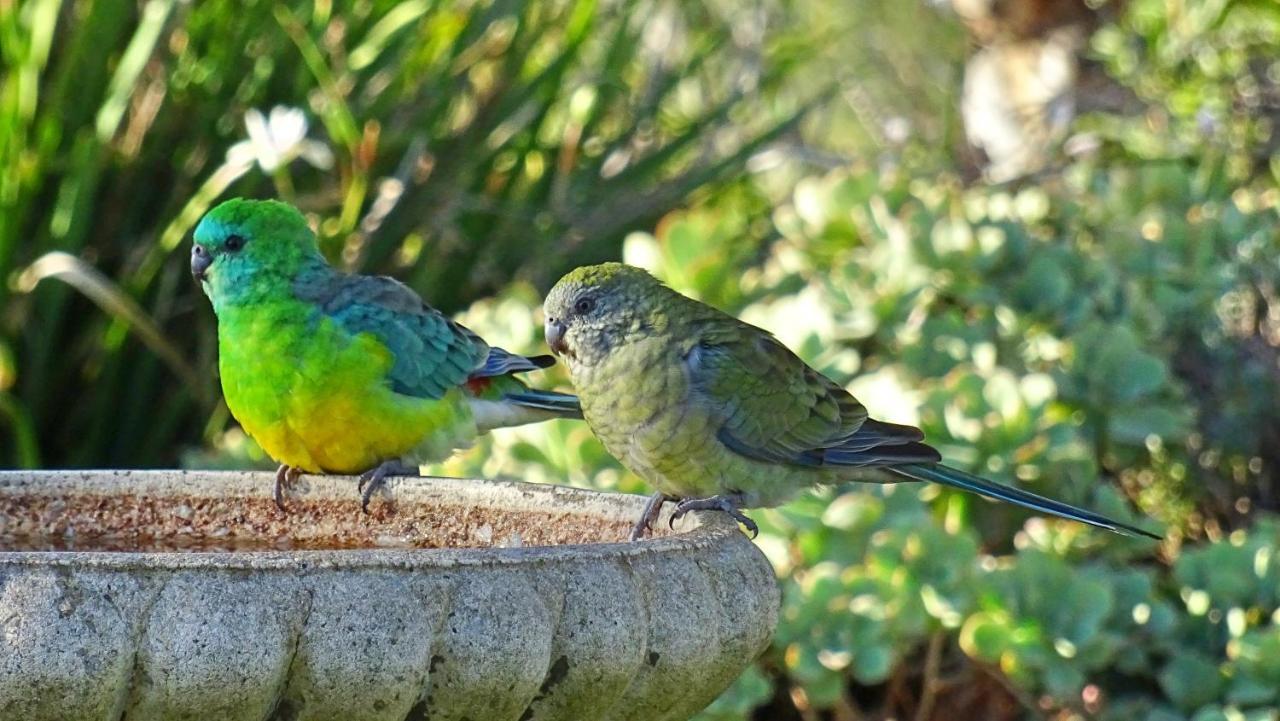 Austiny Bed And Breakfast Victor Harbor Bagian luar foto