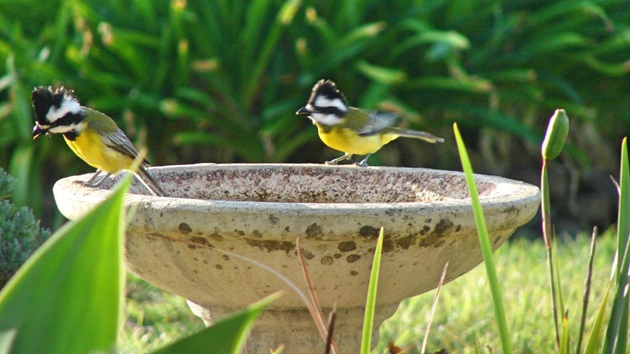 Austiny Bed And Breakfast Victor Harbor Bagian luar foto
