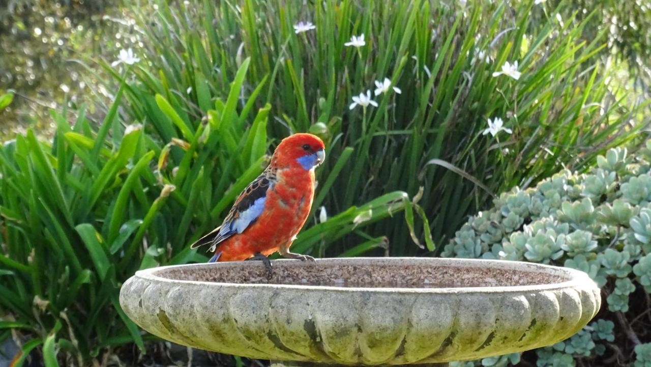 Austiny Bed And Breakfast Victor Harbor Bagian luar foto