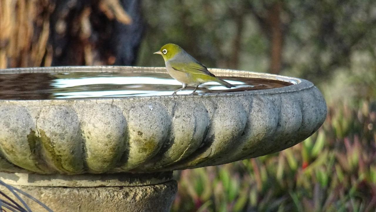 Austiny Bed And Breakfast Victor Harbor Bagian luar foto