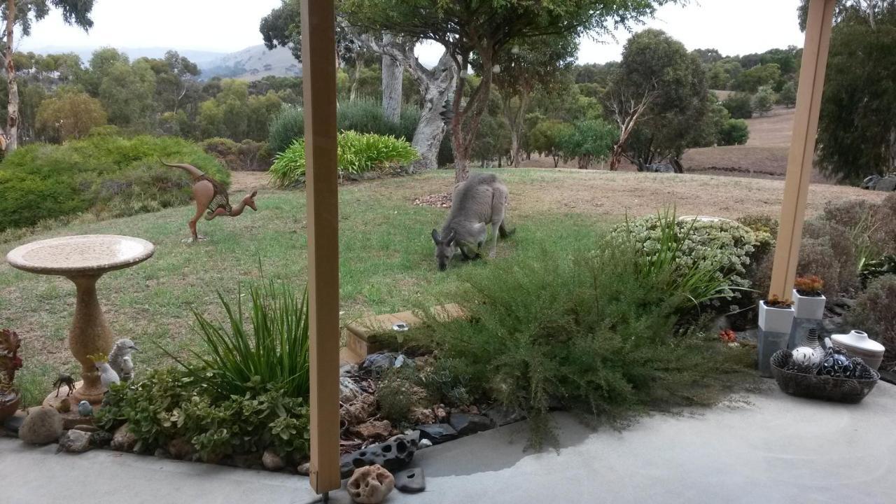 Austiny Bed And Breakfast Victor Harbor Bagian luar foto